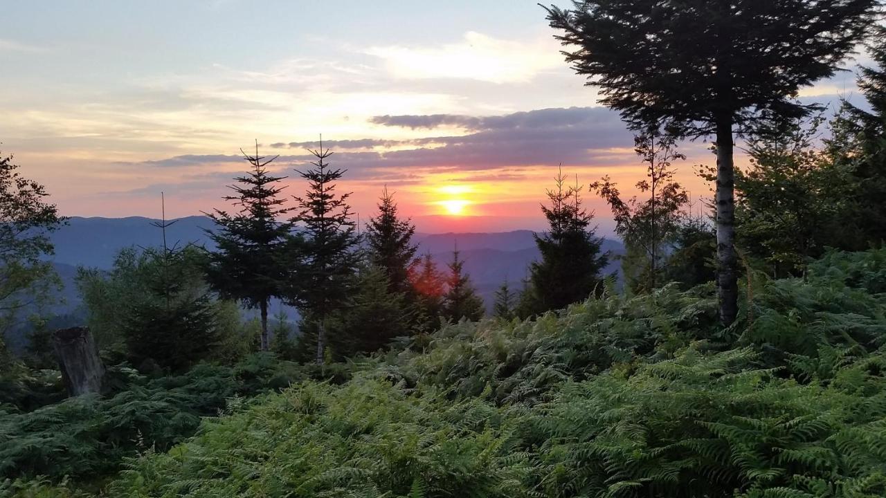 Apartmán Am Doettelbach Bad Peterstal-Griesbach Exteriér fotografie