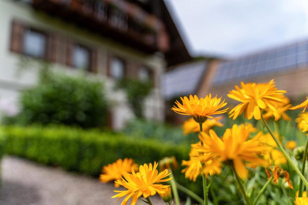 Apartmán Am Doettelbach Bad Peterstal-Griesbach Exteriér fotografie