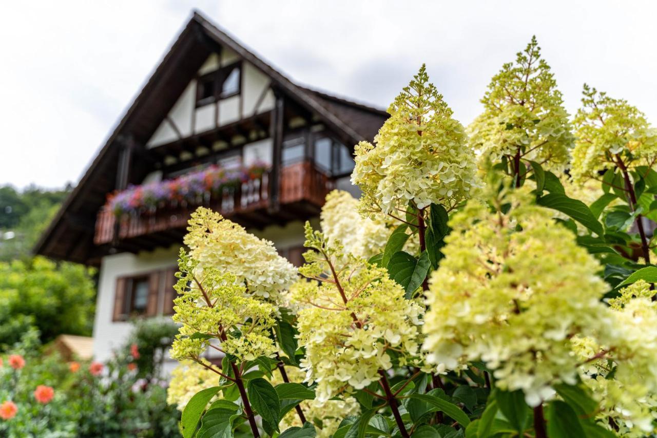 Apartmán Am Doettelbach Bad Peterstal-Griesbach Exteriér fotografie
