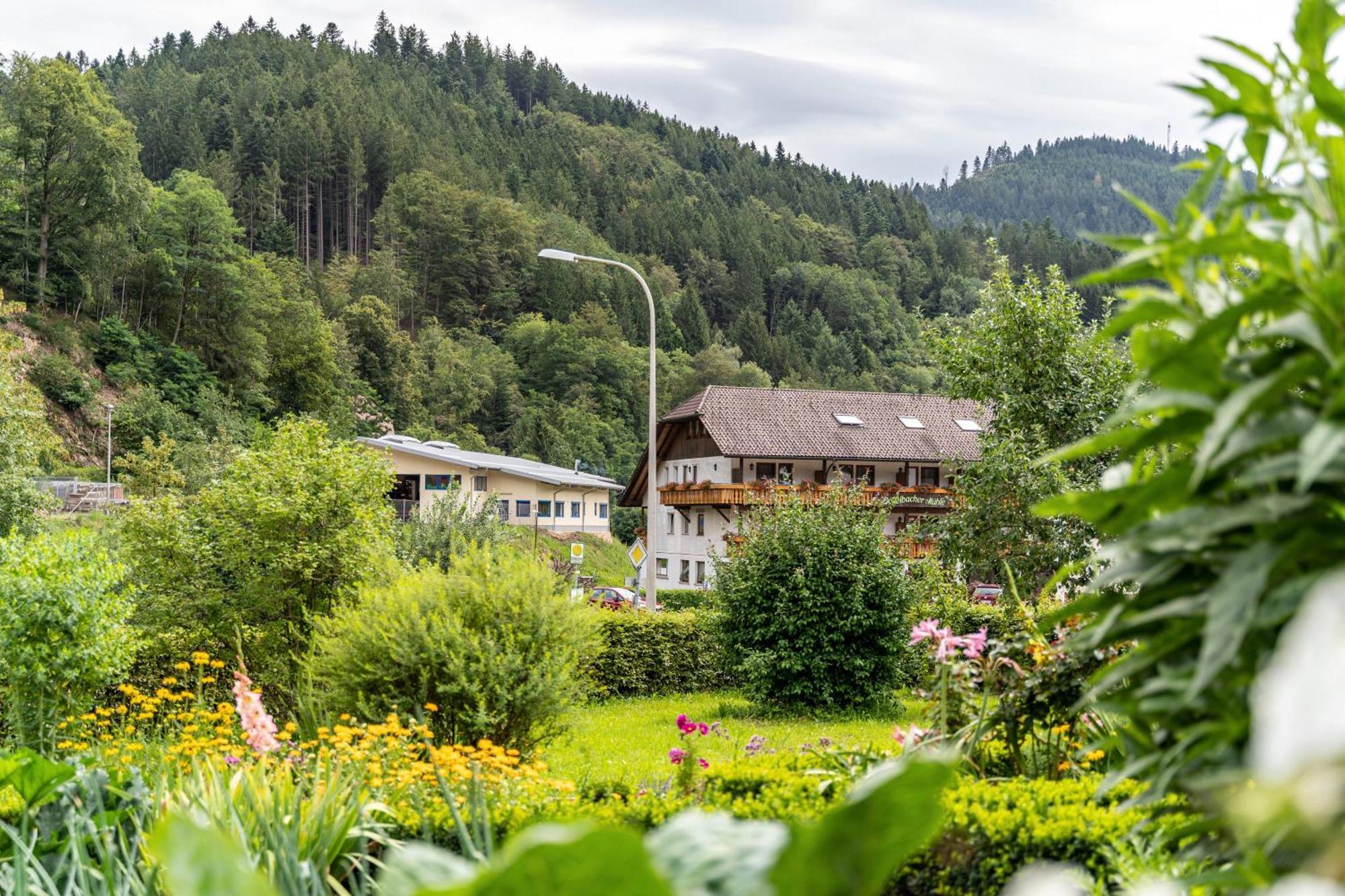 Apartmán Am Doettelbach Bad Peterstal-Griesbach Exteriér fotografie